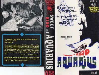 Sweet Bird of Aquarius VHS cover
