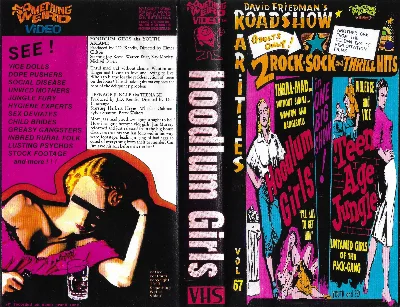 Hoodlum Girls VHS cover