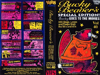 Sexual Practices in Sweden VHS cover