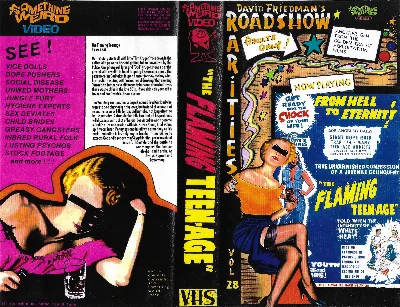The Flaming Teen-Age VHS cover