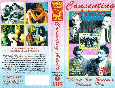 Consenting Adults VHS cover