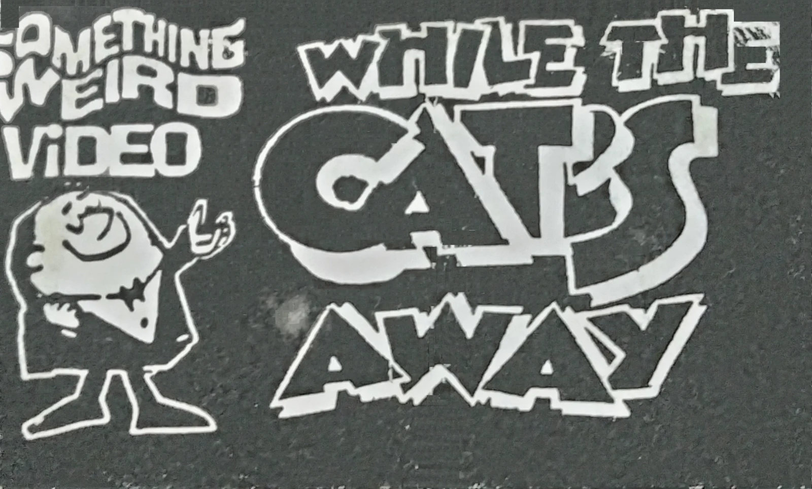 While the Cat's Away VHS front label scan