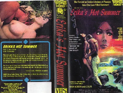 Erika's Hot Summer VHS cover