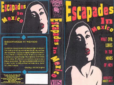 Escapades in Mexico VHS cover
